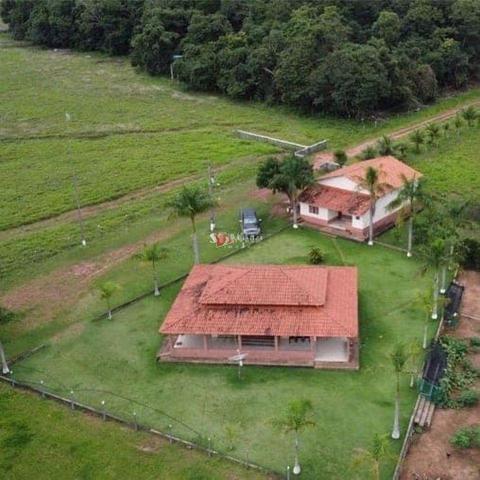 Fazenda à venda em Porto Franco, Centro, com 1563 hectares